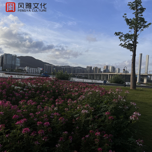 日韩女优资源导航入口
